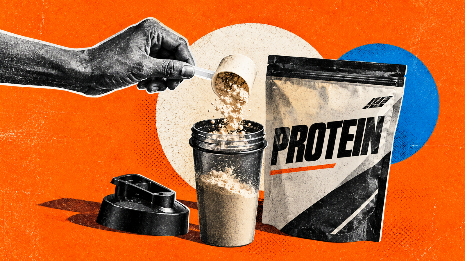 Protein